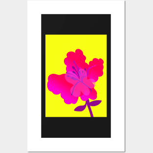 Giant Pink flower 2 Posters and Art